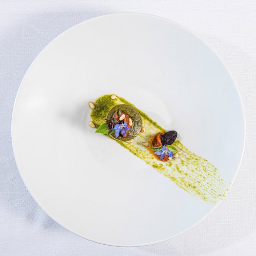 Kunstvoll angerichtetes Gericht mit grüner Sauce, Kräutern und essbaren Blumen auf weißem Teller