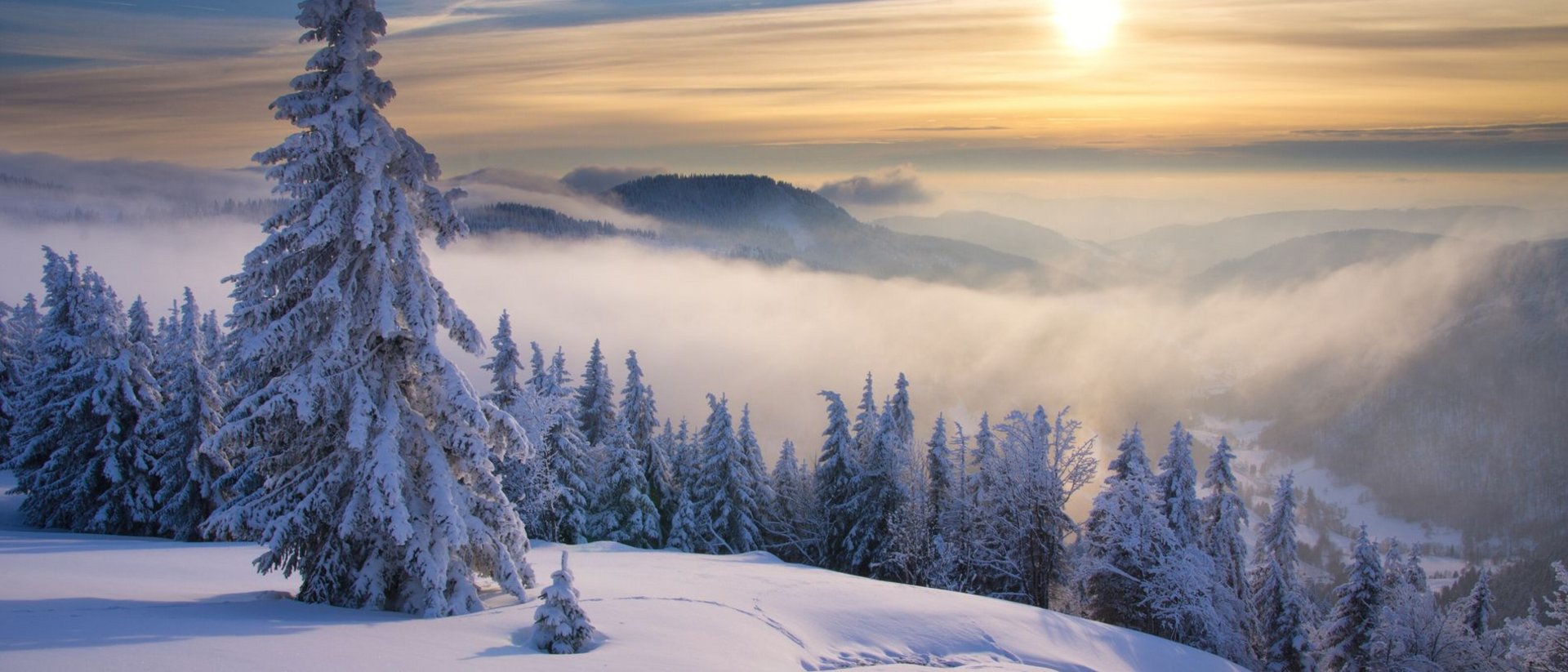 Perfekt für kleine Entdecker und große Winterfans Verschneite Bäume und Berglandschaft bei Sonnenuntergang mit Nebel
