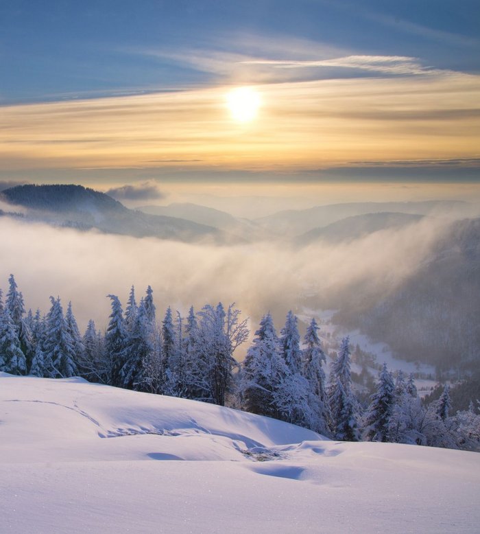 Snow-covered trees and mountain landscape at sunset with fog