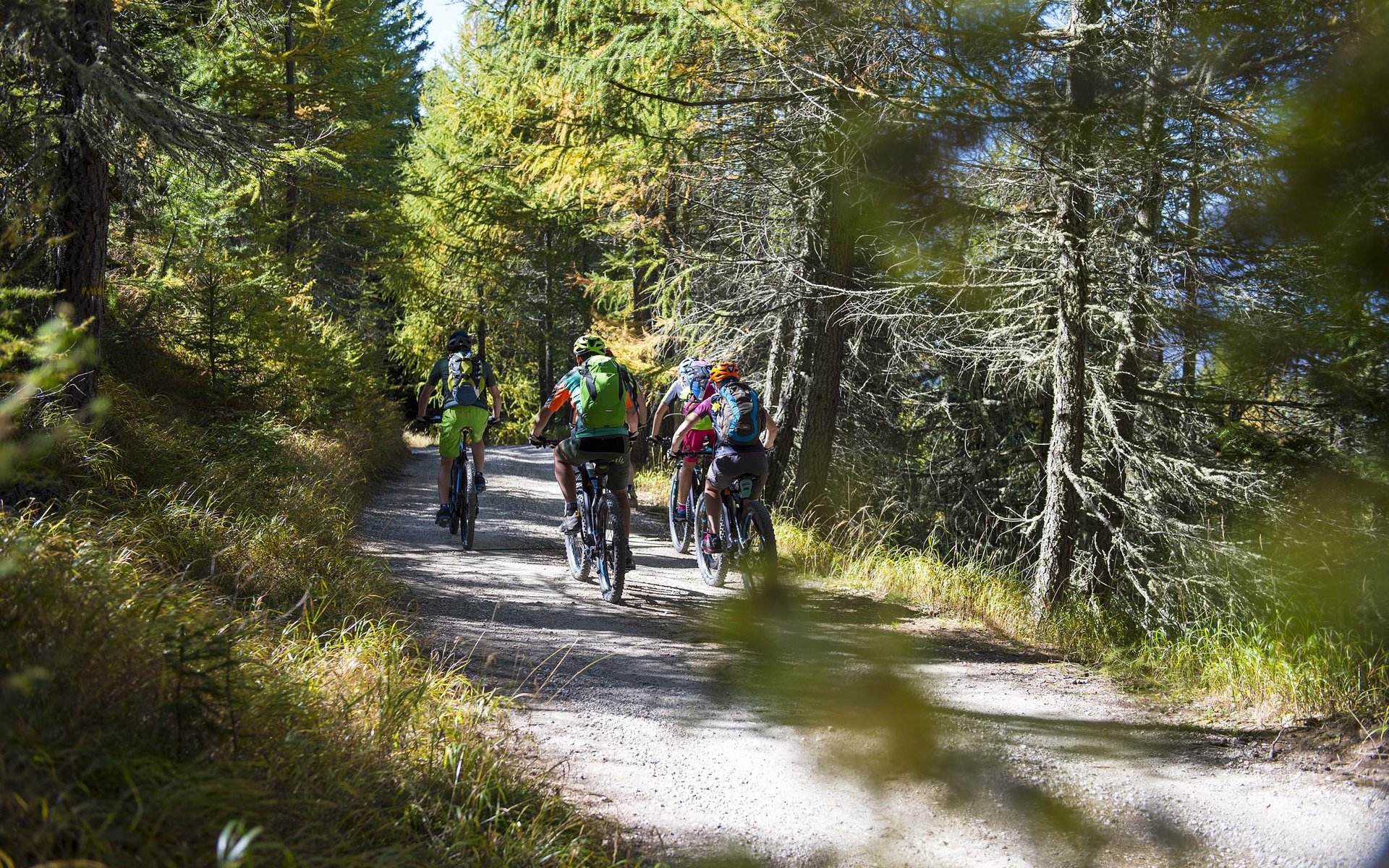 Gruppe von Mountainbikern fährt auf Waldweg bei sonnigem Wetter