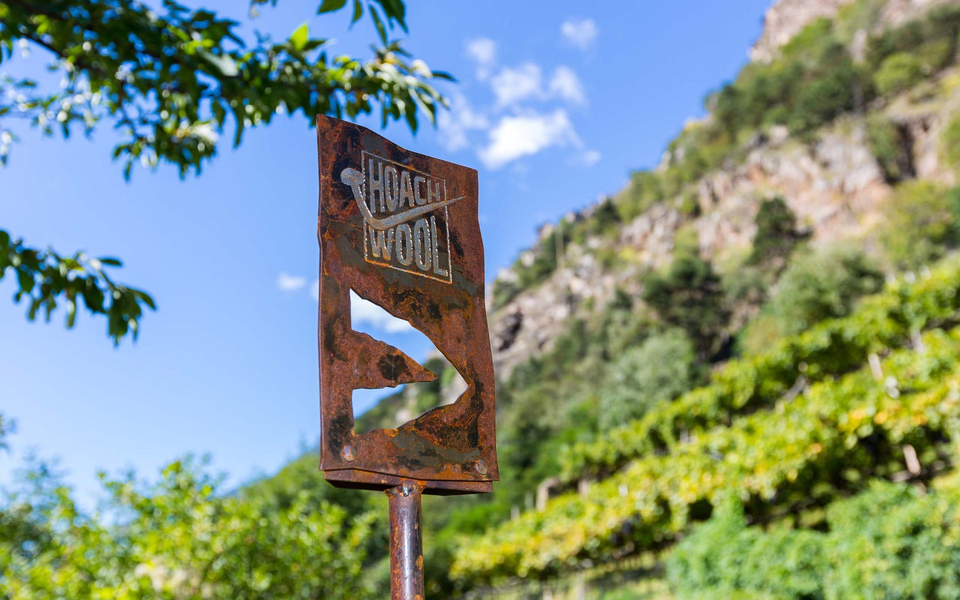 Verrostetes Metallschild mit Text vor grün bewachsenem Hügel und blauem Himmel