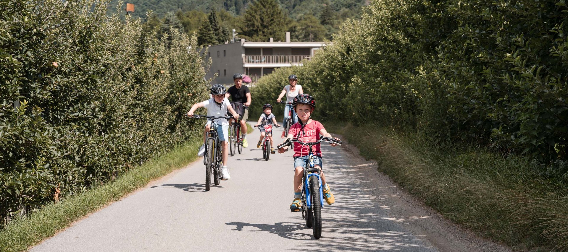 Hotel in montagna in Trentino-Alto Adige: vacanze emozionanti!